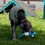 Ancol Made From Recycled Material Rope Bellies Dog Toy thumbnail