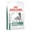 Royal Canin Diabetic Dry Food for Dogs thumbnail