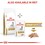 Royal Canin Urinary S/O Ageing 7+ Dry Food for Dogs thumbnail
