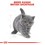 Royal Canin British Shorthair Kitten Dry Cat Food 10Kg thumbnail