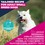 Eukanuba Life Care Small Breed Adult Dog Food (Chicken) 12kg thumbnail