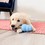 KONG Ziggies Enhanced Puppy Treats thumbnail