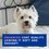 DOUXO Skin & Coat SPA Ultra-Safe Soothing Dog Shampoo 250ml thumbnail