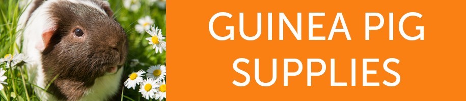Guinea Pig Supplies Category Banner