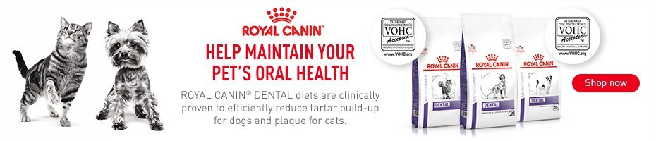 Help maintain your pet's oral health with Royal Canin