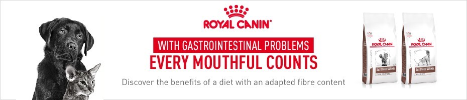 With gastrointestinal problems, every mouthful counts