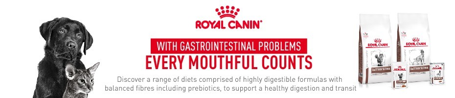 With Gastrointestinal Problems, every mouthful counts