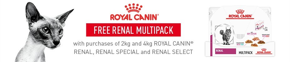 Get a head start on Renal Problems one bite at a time with Royal Canin Renal Support Veterinary Diets