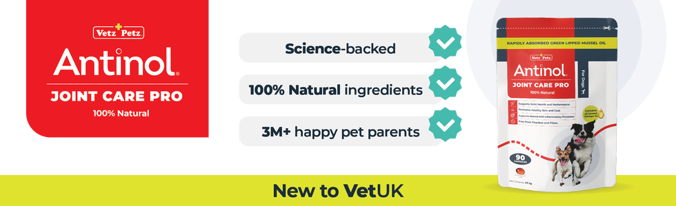 New Antinol Joint Care Pro for Dogs