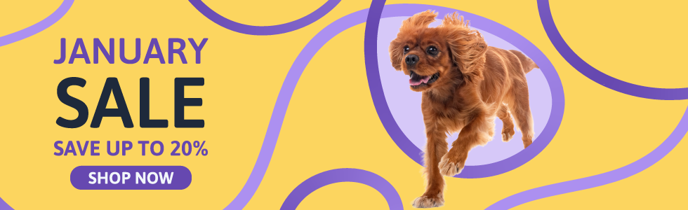 Save up to 20% in our January Sale Save up to 20% in our January Sale