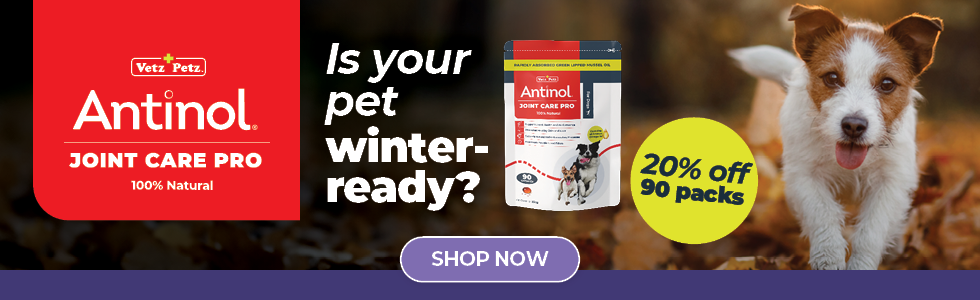 Save 20% on Antinol 90 Capsule Packs - Shop Now