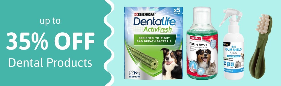 Save up to 35% on Dental Products in our May Sale
