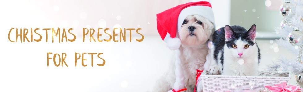 Christmas Gifts for Pets
