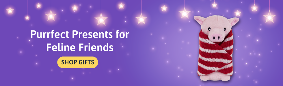 Christmas Gifts for Cats