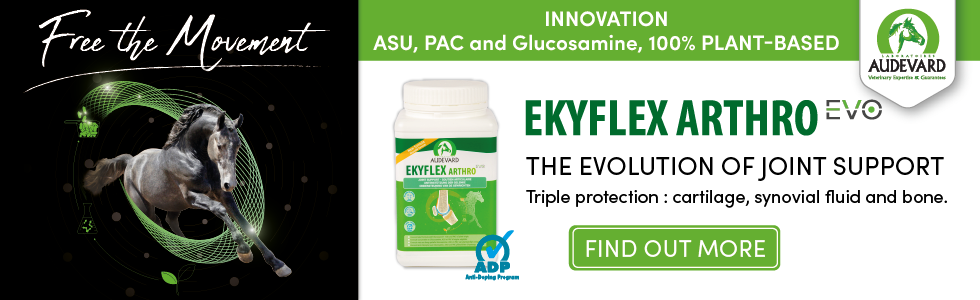 Free the Movement with Audevard Ekyflex Arthro EVO